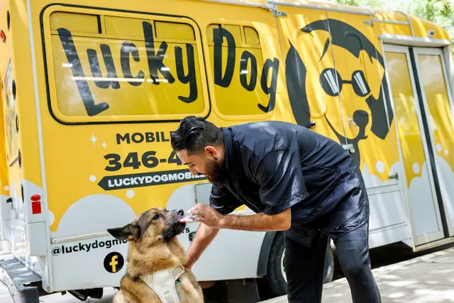 Lucky Dog Mobile Groomers – Wichita, KS — photo from the business 8