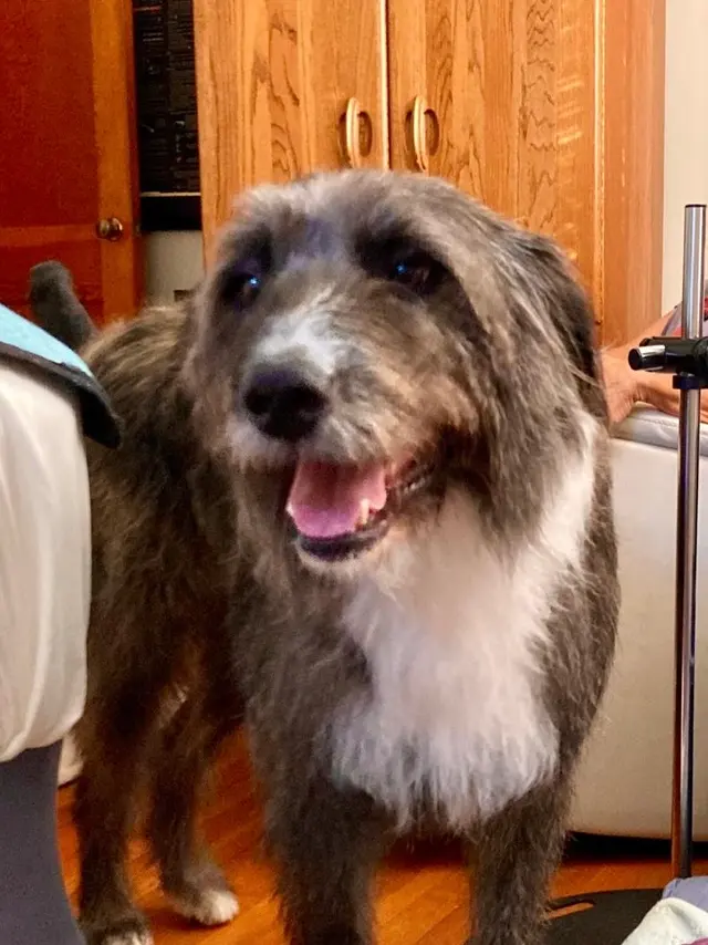 PawPrints Pet Supply — customer photo 12