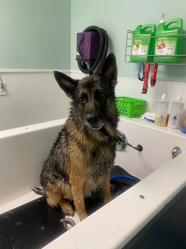 PawPrints Pet Supply — customer photo 5
