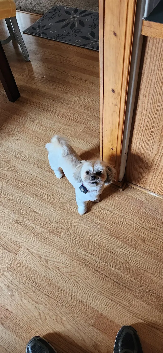 Customer photo from Buddy's review