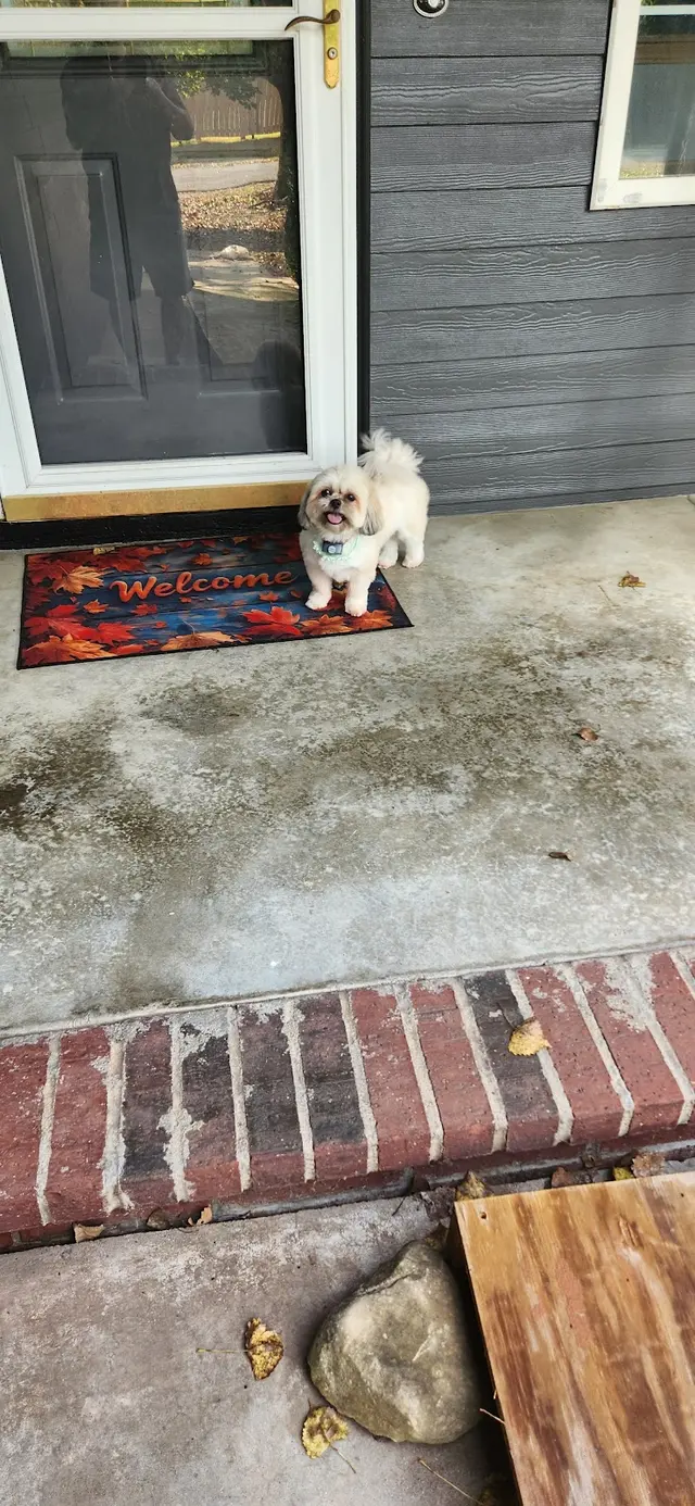 Customer photo from Buddy's review