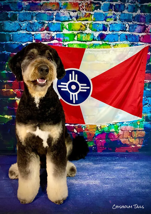 Chisholm Tails Dog Grooming LLC — photo from the business 4