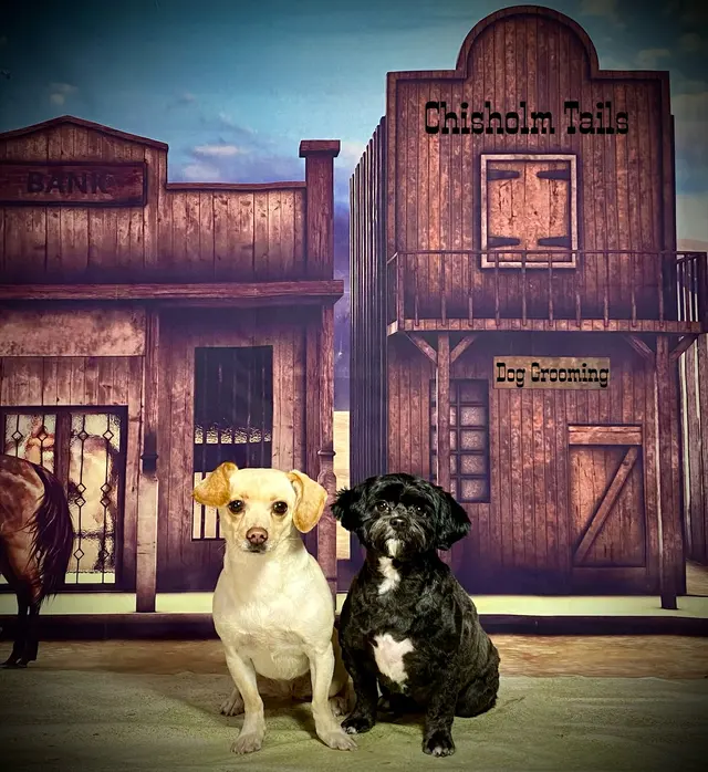 Chisholm Tails Dog Grooming LLC — photo from the business 7