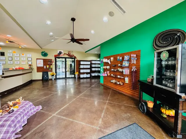 Chisholm Creek Pet Resort — photo from the business 8