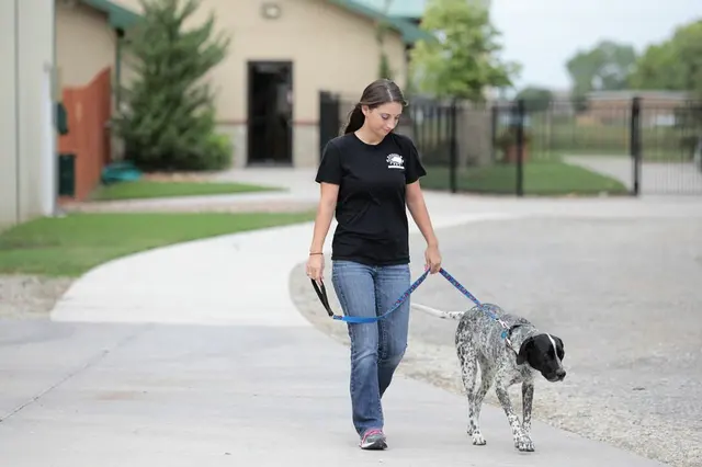 Chisholm Creek Pet Resort — photo from the business 12