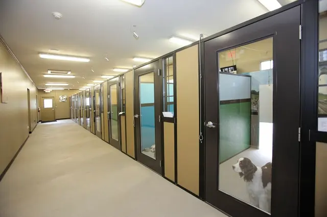 Chisholm Creek Pet Resort — photo from the business 5