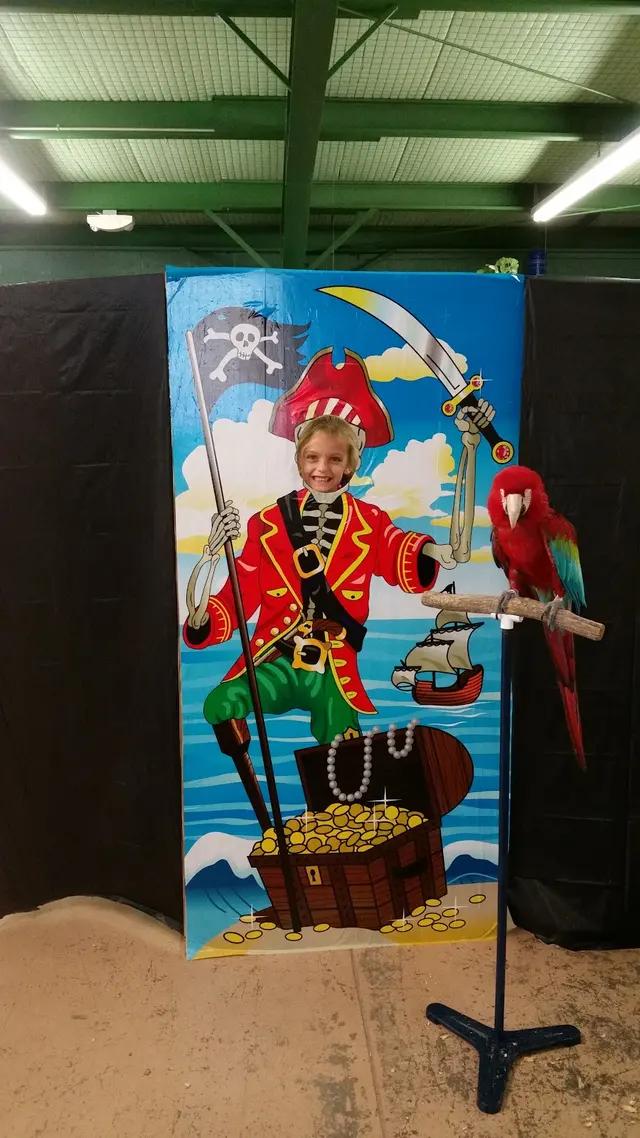 Birds of Paradise — customer photo 11