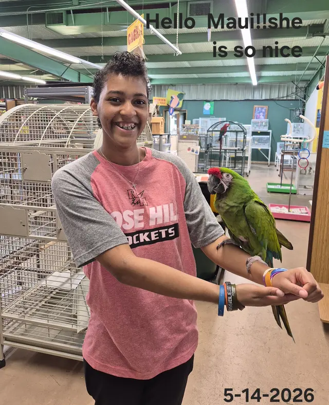 Birds of Paradise — customer photo 6