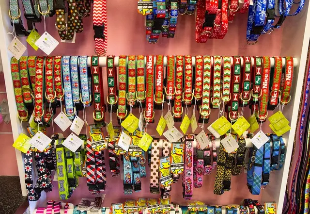 Woof Gang Bakery & Grooming Wichita — photo from the business 5