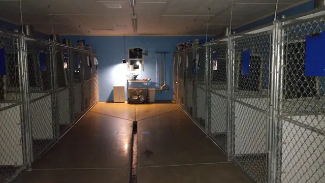 Wag'en Tail Ranch — customer photo 7