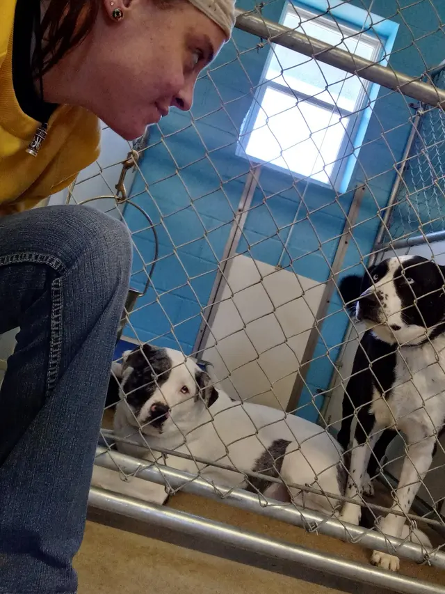 Wag'en Tail Ranch — customer photo 12