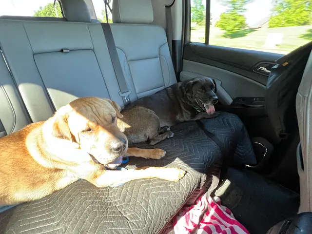 Wag'en Tail Ranch — customer photo 9