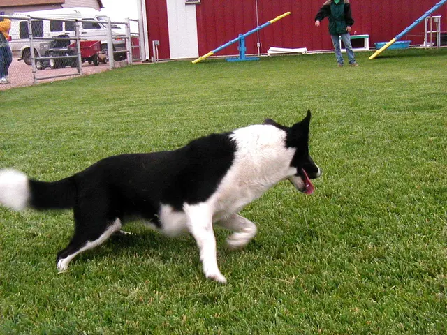 Wag'en Tail Ranch — customer photo 4