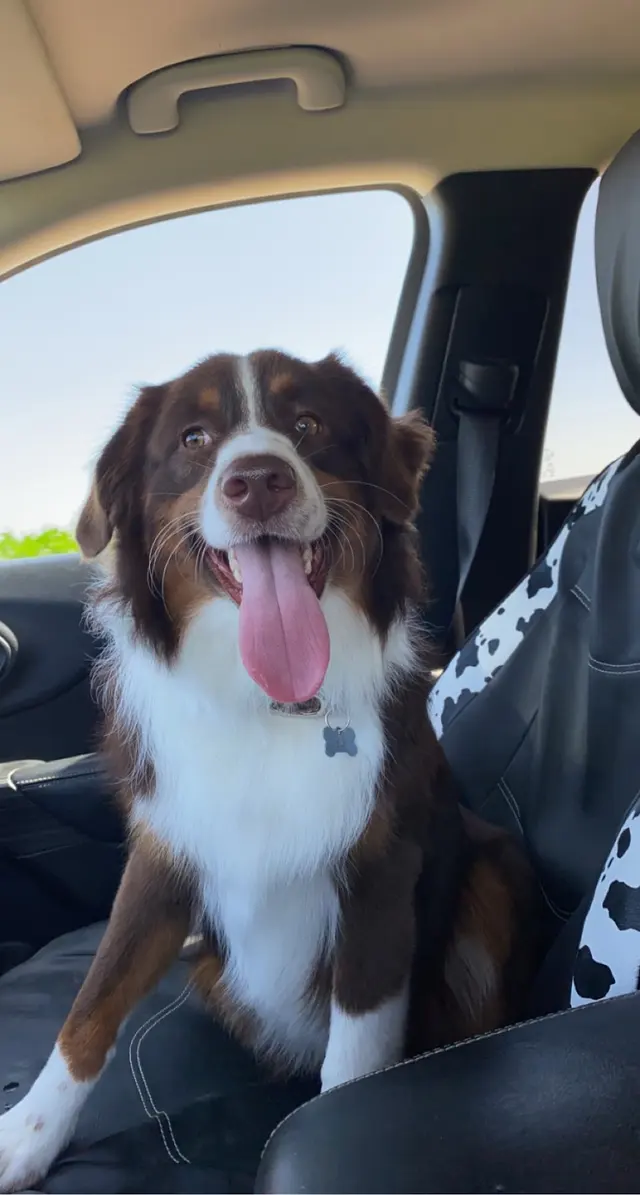 Backroads Grooming — customer photo 3