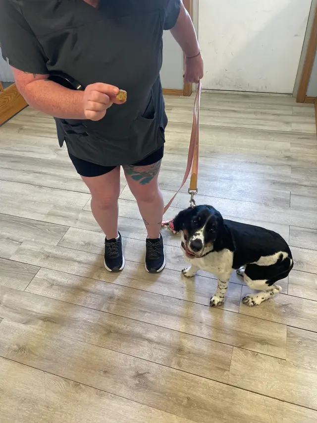 ADTC Grooming Salon — customer photo 3