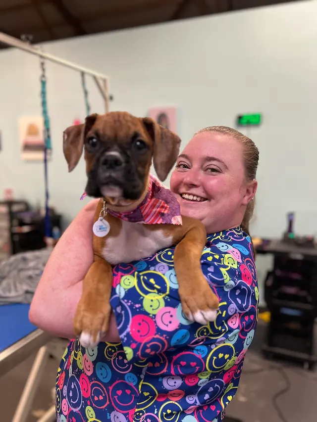 ADTC Grooming Salon — photo from the business 5