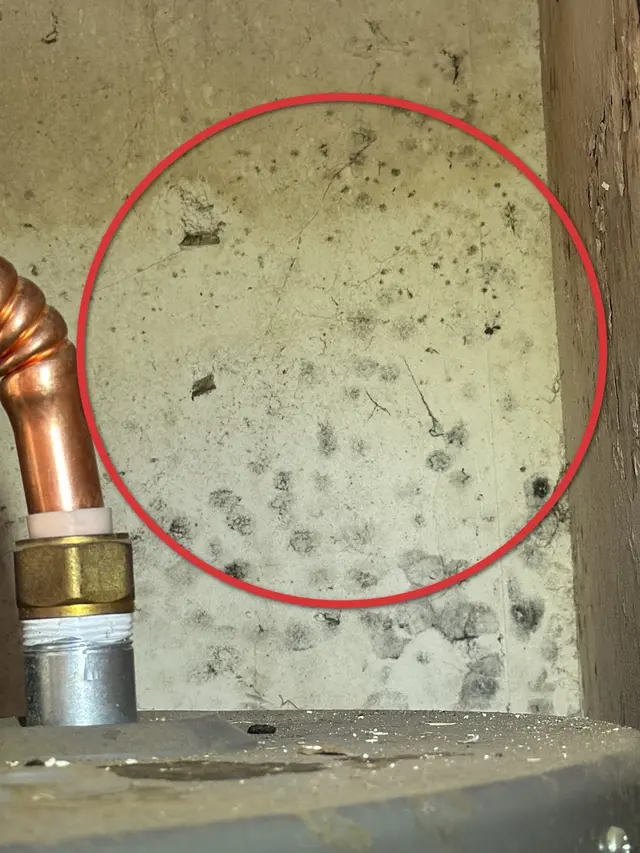 Logic Inspection Group — photo from the business 9