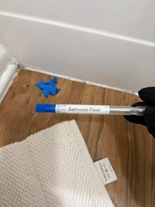 24H Mold Inspection of Newport Beach — photo from the business 8