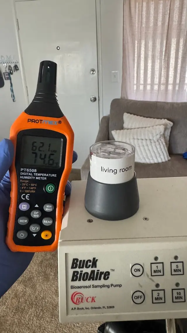24H Mold Inspection of Newport Beach — photo from the business 3
