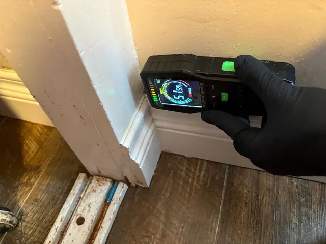 24H Mold Inspection of Newport Beach — photo from the business 6