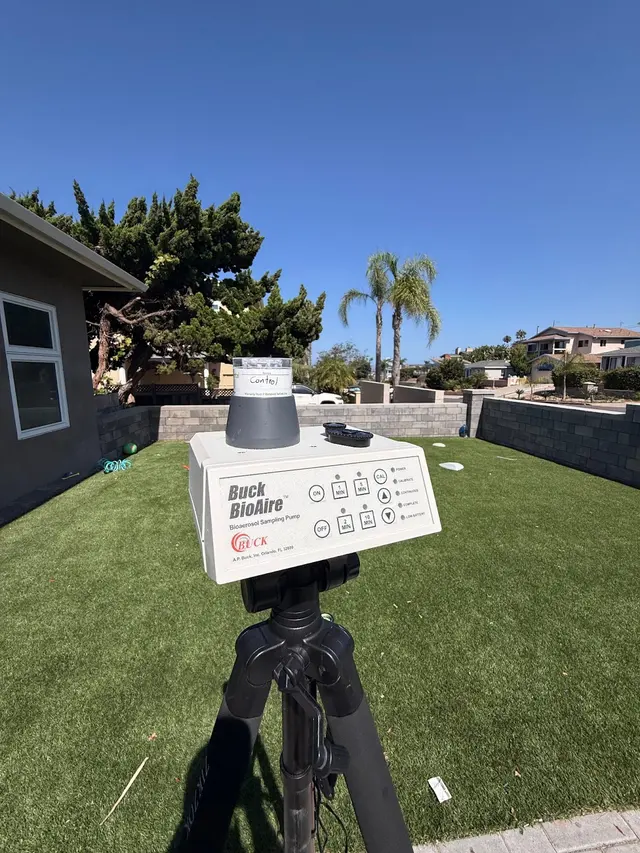 24H Mold Inspection of Newport Beach — photo from the business 12