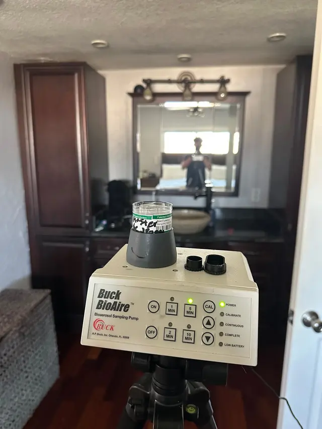 24H Mold Inspection of Newport Beach — photo from the business 2