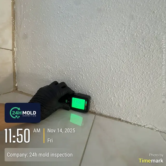 24H Mold Inspection of Mission Viejo — photo from the business 6