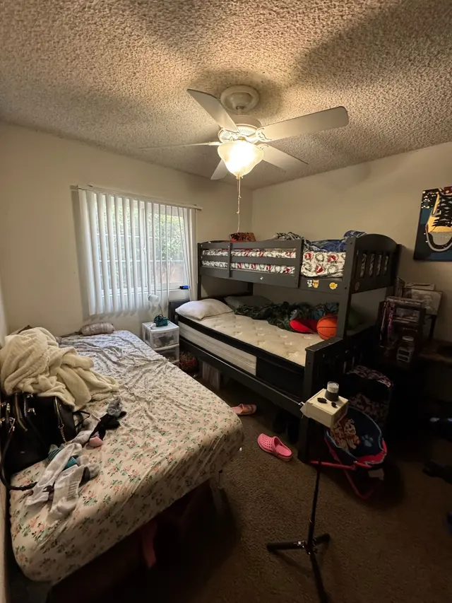 24H Mold Inspection of Mission Viejo — photo from the business 8