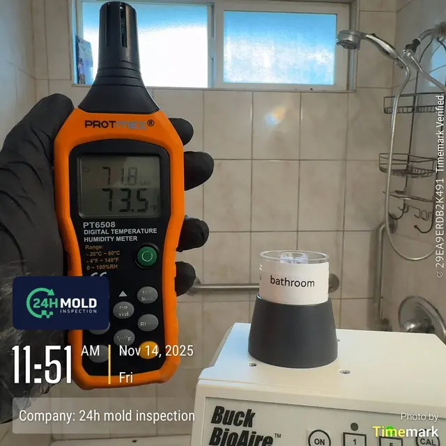 24H Mold Inspection of Mission Viejo — photo from the business 3