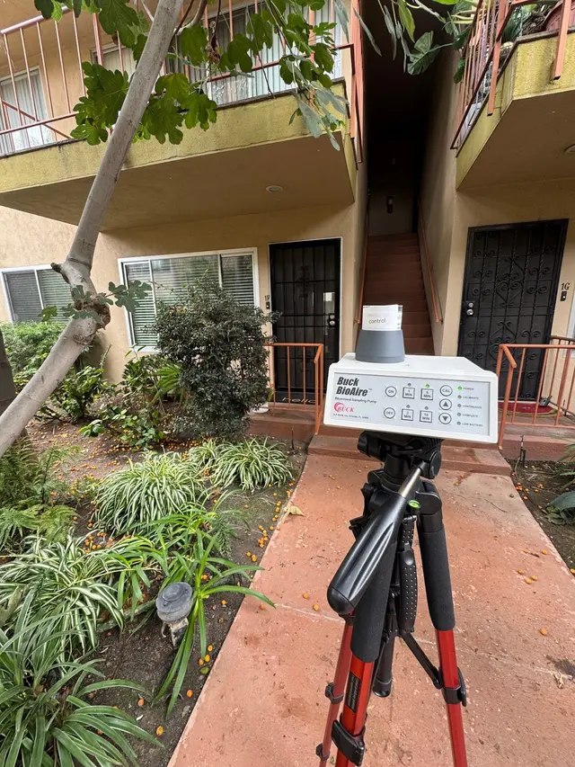 24H Mold Inspection of Mission Viejo — photo from the business 7