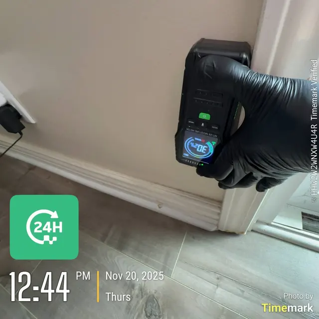 24H Mold Inspection of Mission Viejo — photo from the business 5