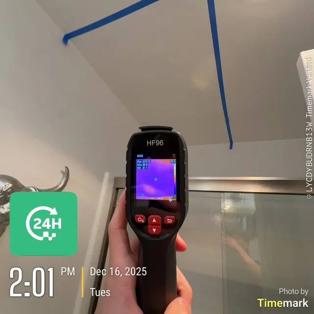 24H Mold Inspection of Mission Viejo — photo from the business 9