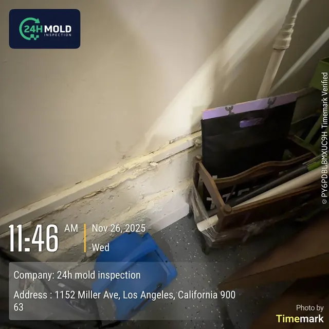 24H Mold Inspection of Mission Viejo — photo from the business 10