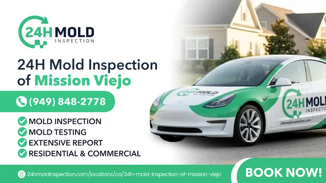 24H Mold Inspection of Mission Viejo — photo from the business 1