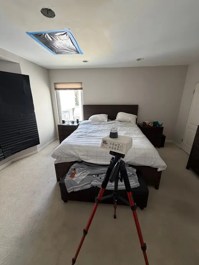 24H Mold Inspection of Mission Viejo — photo from the business 11