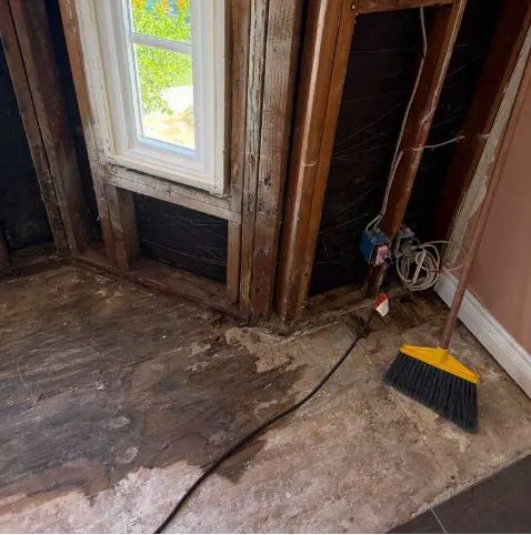 Mold Removal Hero — customer photo 5