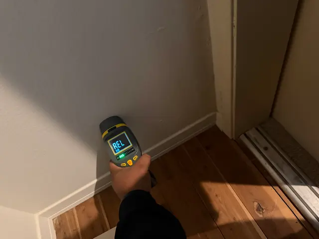 Mold Removal Hero — photo from the business 9