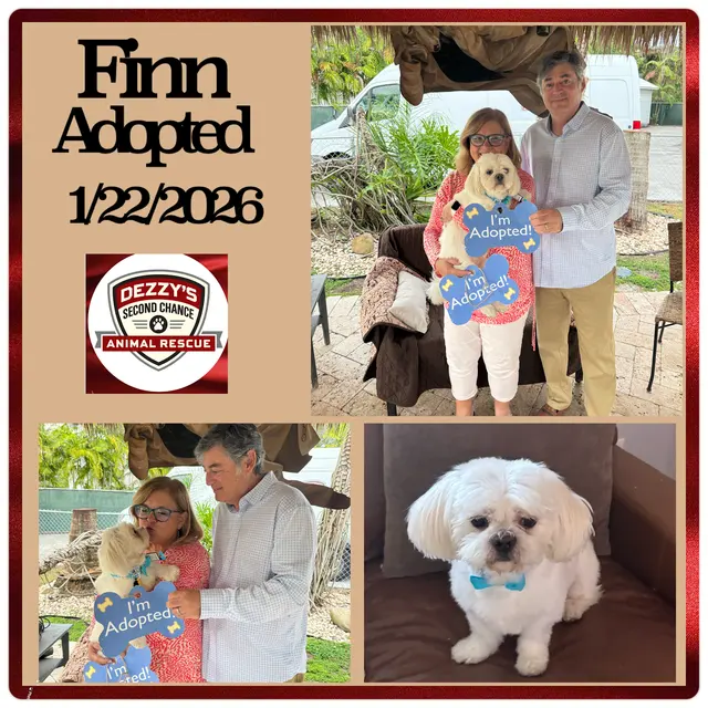 Dezzy's Second Chance Animal Rescue — photo from the business 12