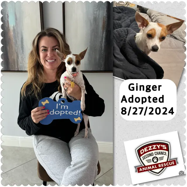 Dezzy's Second Chance Animal Rescue — photo from the business 7