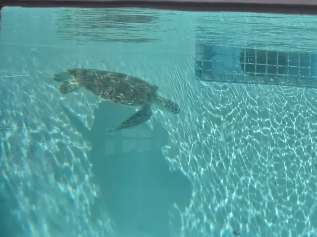 Loggerhead Marinelife Center — customer photo 9