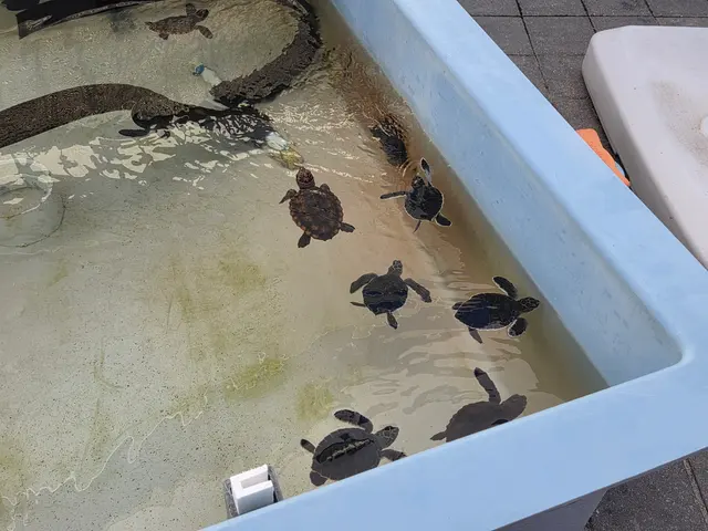 Loggerhead Marinelife Center — customer photo 11