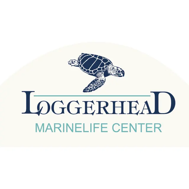 Loggerhead Marinelife Center — photo from the business 8