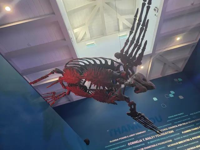 Loggerhead Marinelife Center — customer photo 10