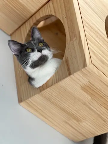 Furry Friends Humane — photo from the business 6