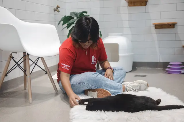 Furry Friends Humane — photo from the business 7