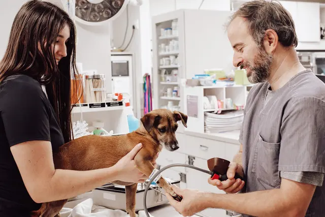 Pet Emergency and Referral Center — photo from the business 1
