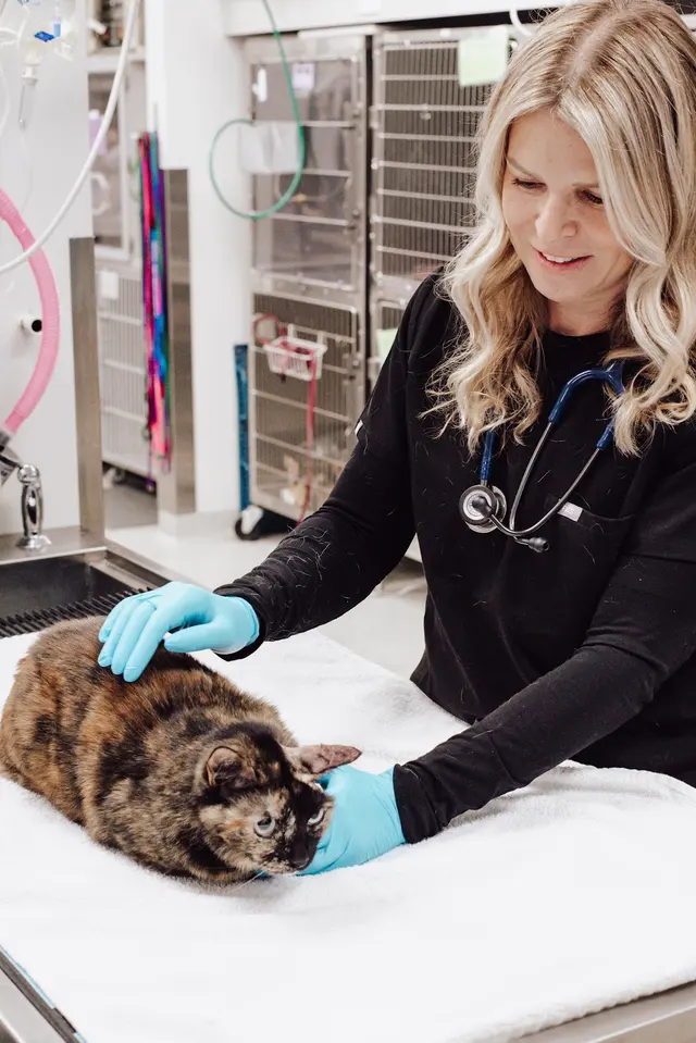 Pet Emergency and Referral Center — photo from the business 6