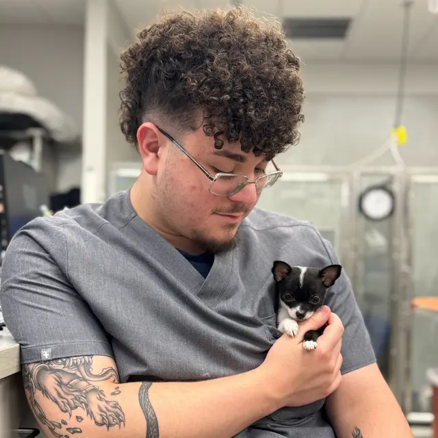 Pet Emergency and Referral Center — photo from the business 9