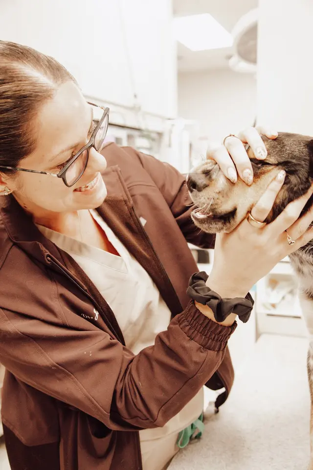 Pet Emergency and Referral Center — photo from the business 5