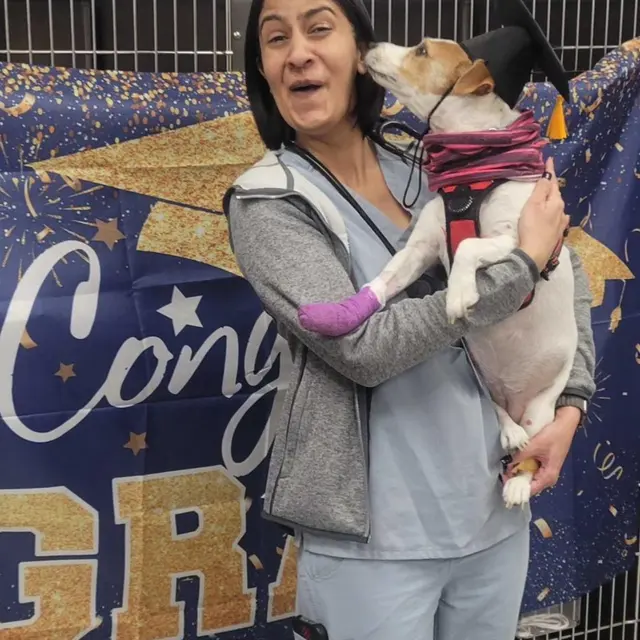 Pet Emergency and Referral Center — photo from the business 10